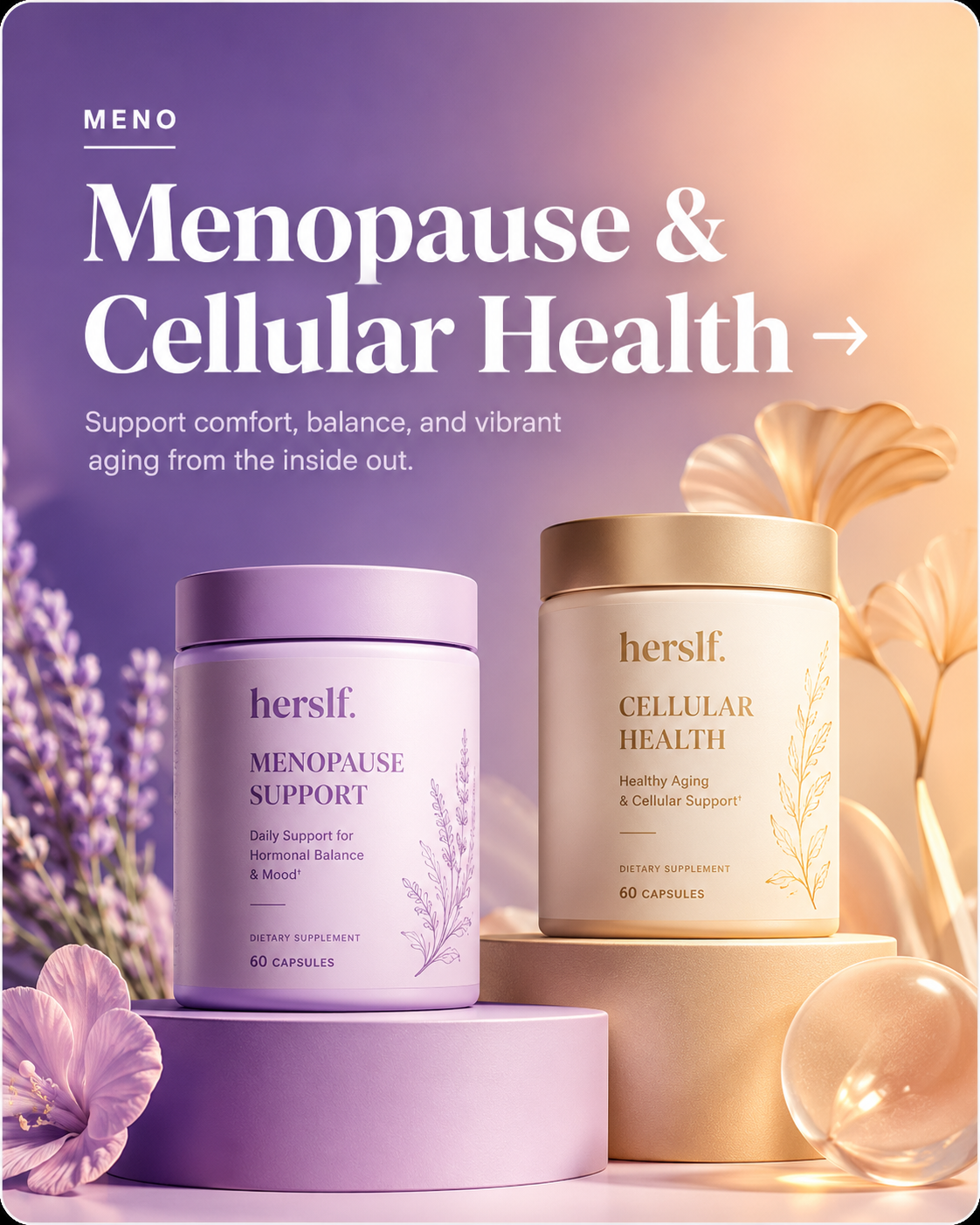 Menopause & Gut Health